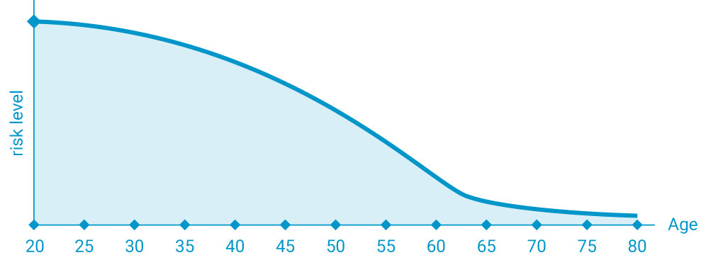 Indicative Life Cycle Structure